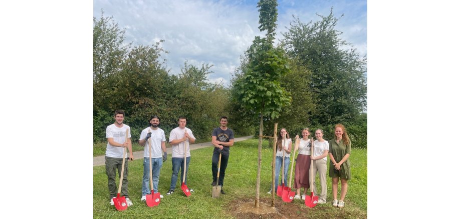 Fünf männliche Azubis stehen mit roten Schaufeln links von dem frisch gepflanzten Ahorn, rechts stehen drei weibliche Azubis, ebenfalls mit roten Schaufeln, und die Ausbildungsleiterin Johanna Püsch. 