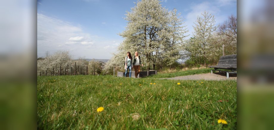 Zwei junge Frauen laufen im Sonnenschein über einen Weg an blühenden Obstbäumen vorbei. 